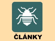 Články o štěnicích