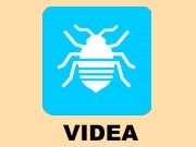 Štěnice - videa