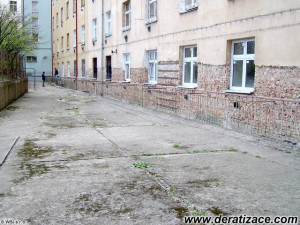 Kompletní otlučení omítek. Po vyschnutí bude fasáda nahozena a natřena.